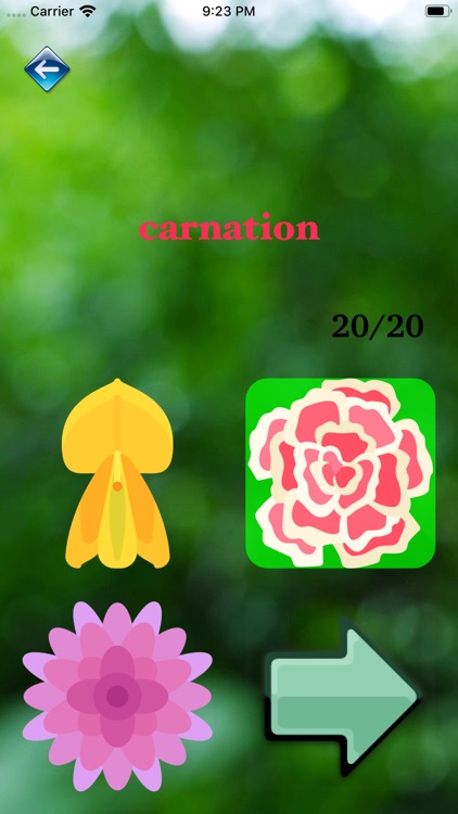 Amazing Flower Book screenshot-4
