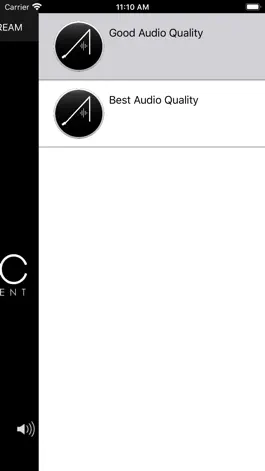 Game screenshot ART OF MUSIC Radio apk