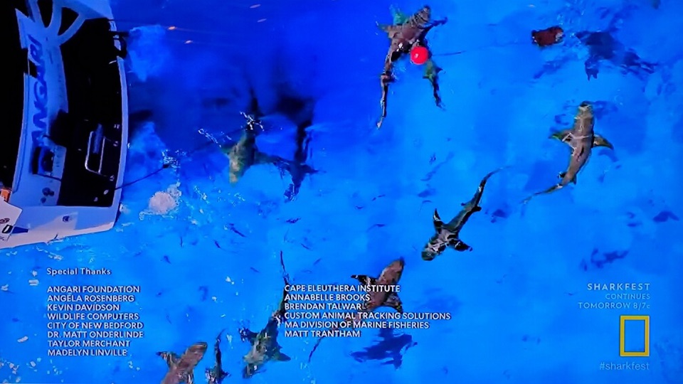 Screenshot #5 for IPTV Streaming