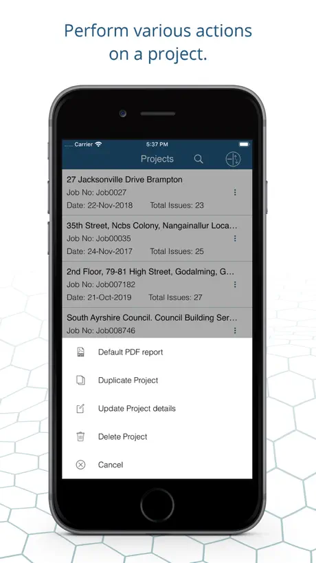 AuditBricks - Site Auditing