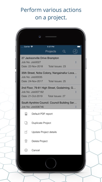 AuditBricks: Site Audit Report