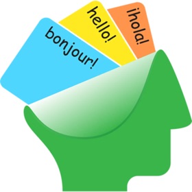 Snímky obrazovky (6) Language Flashcard Quiz