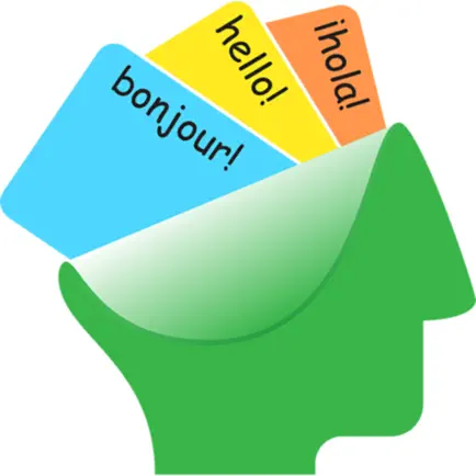 Language Flashcard Quiz Читы