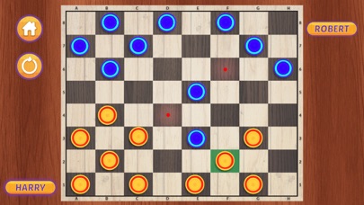 Checkers Master Board Game screenshot 3