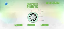 Game screenshot Transport in Plants Biology mod apk