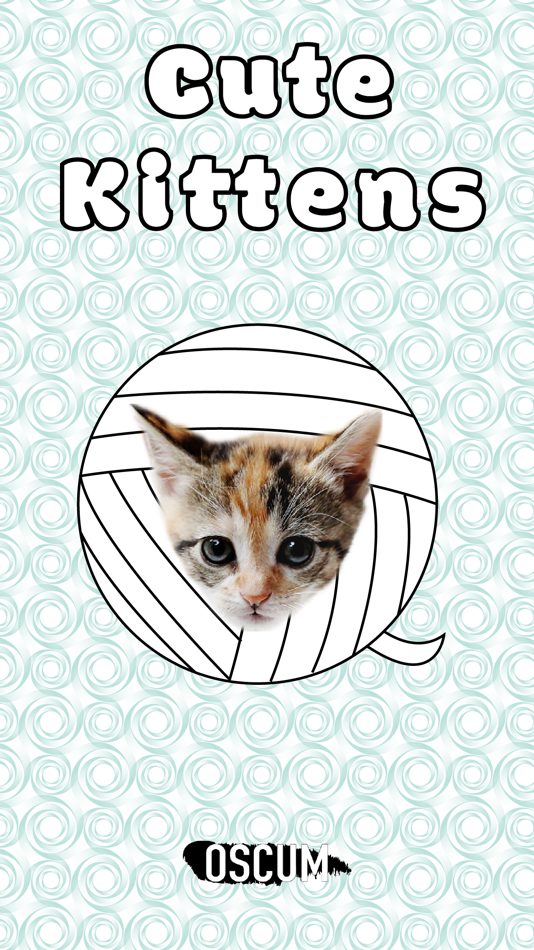 #1. Cute Kitten - Stickers (iOS) Göre: Colin Munroe