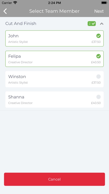 SalonControl Remote Access screenshot-5