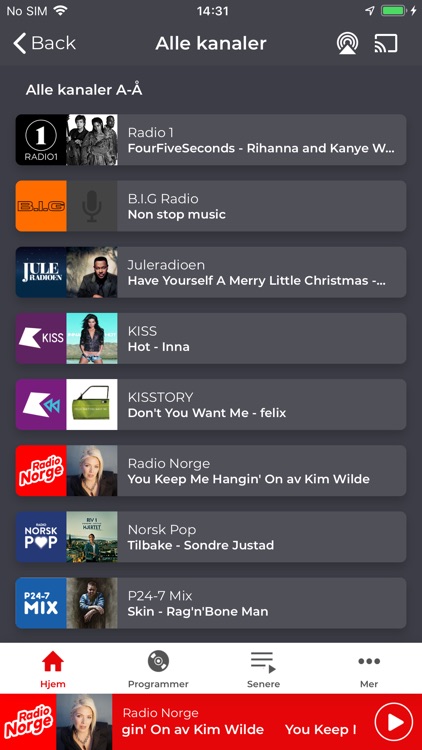 Radio Norge screenshot-6