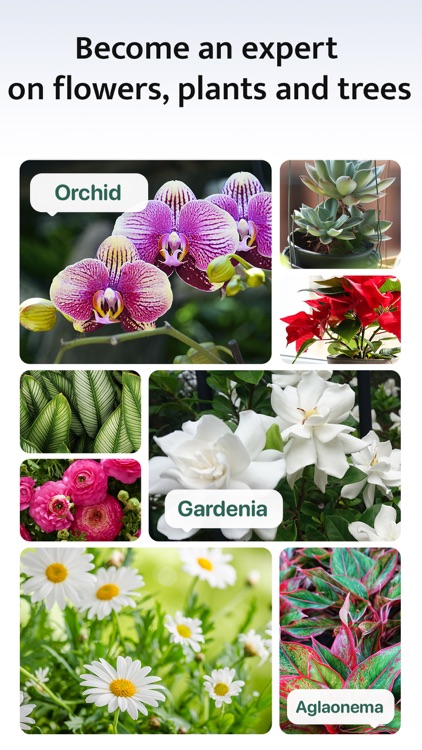 Blossom - Plant Identification screenshot-5