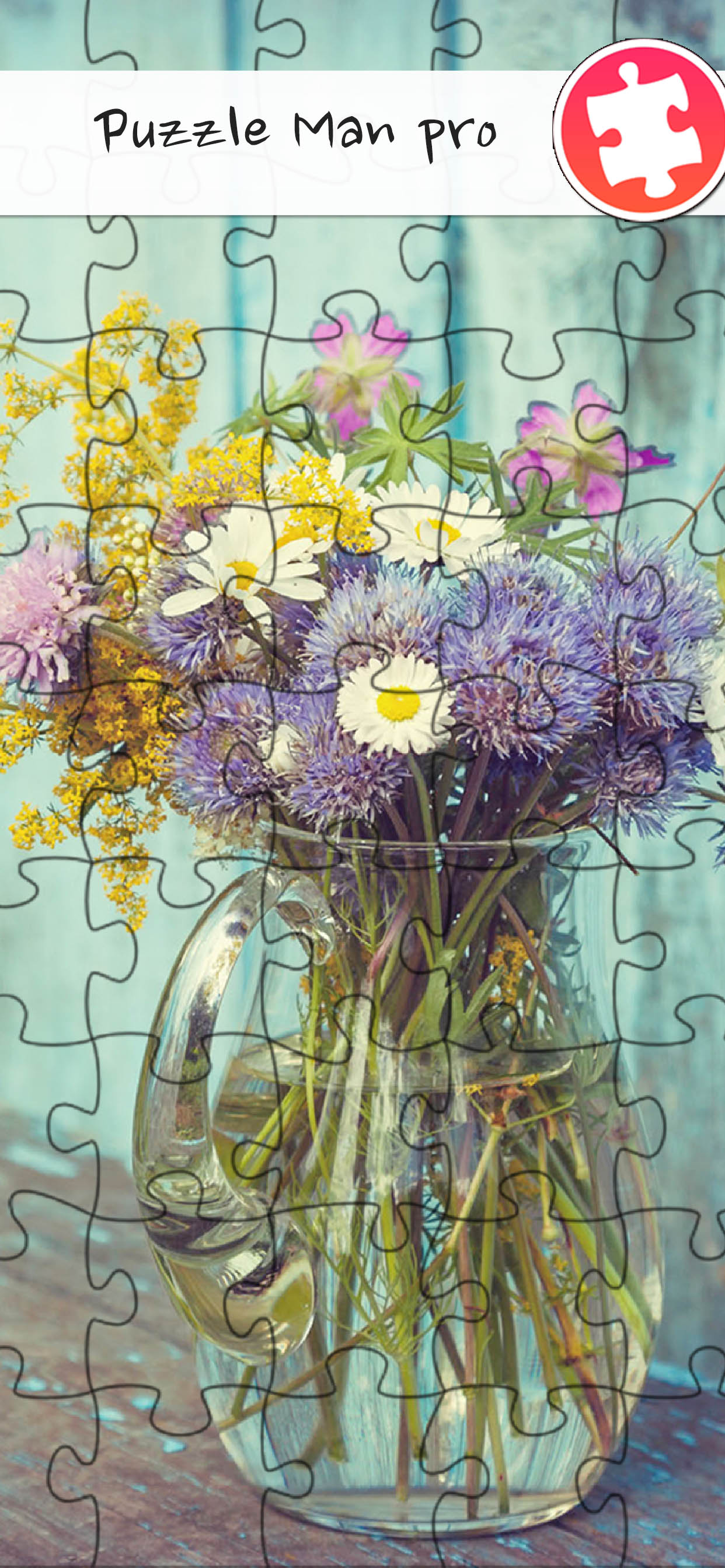 Puzzle Man Pro