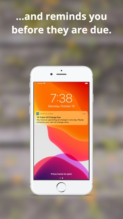 Vehicle Vitals screenshot-4