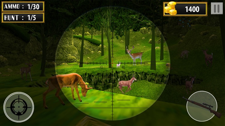 Hunting Season : Time Diaries