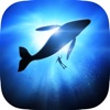 Underwater Wallpapers & Themes - iPhoneアプリ