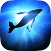 Underwater Wallpapers & Themes - Razi Haleem