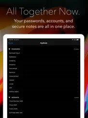 keyshade айпад изображения 2