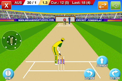 Cricket Power-Play Lite - náhled