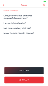 SALT Triage screenshot