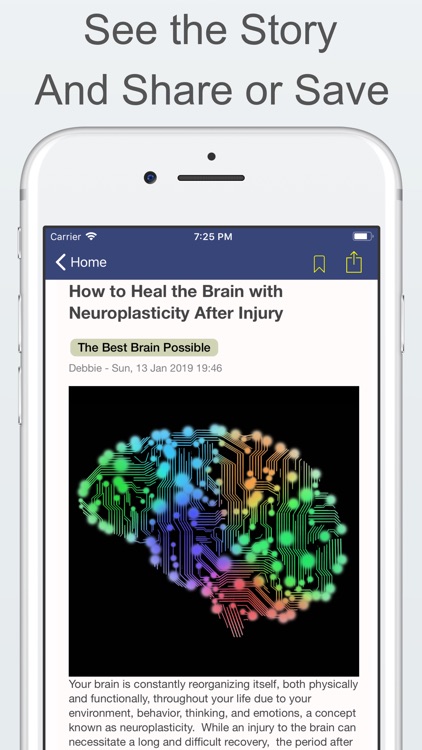 BrainSights - Neuroscience