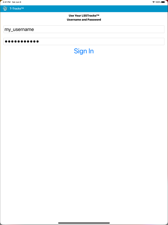 Screenshot #5 pour T-Tracks
