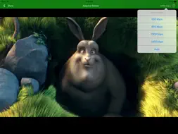 Zixi Player screenshot 9