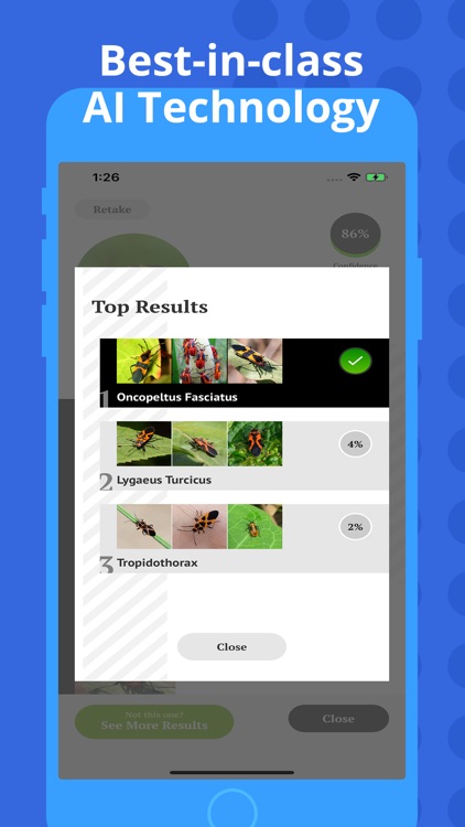 Insect Identification screenshot-3