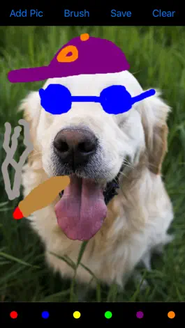 Game screenshot Draw On My Pics mod apk