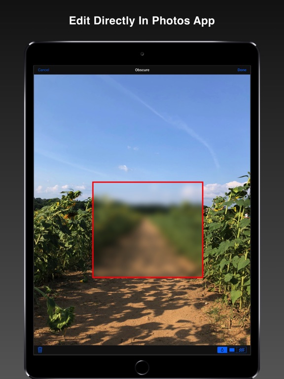 Screenshot #5 pour Obscure - share safely