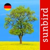 Baum Id Deutschland