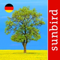 Baum Id Deutschland