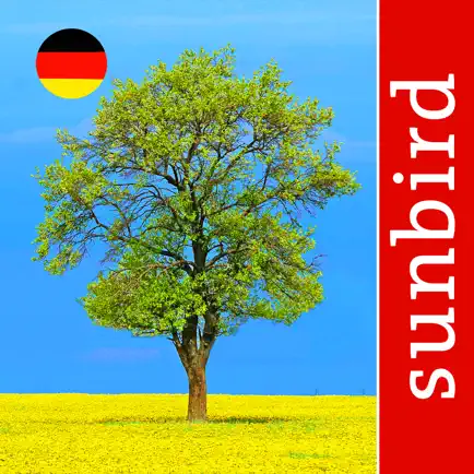Baum Id Germany Cheats