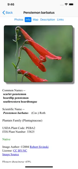 Game screenshot Northern Mexico Wildflowers hack