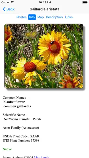 South Dakota Wildflower screenshot 3