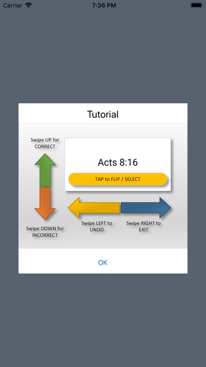 BQ Verse Cards - Team