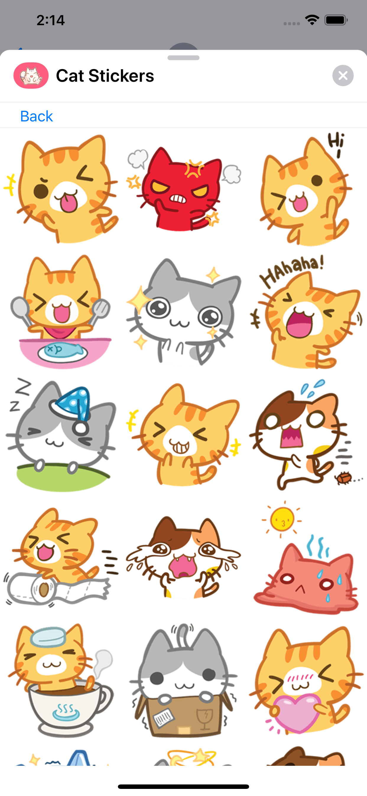 Cat ° screenshot 5