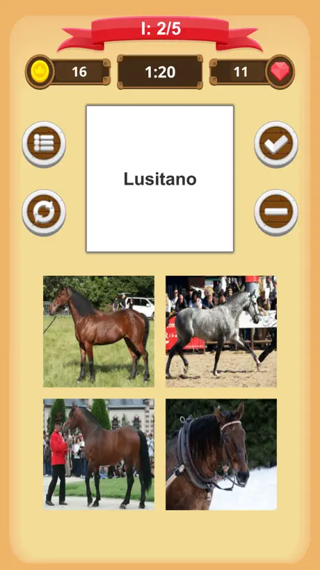 Horse Quiz