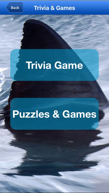 Shark Bytes screenshot-8