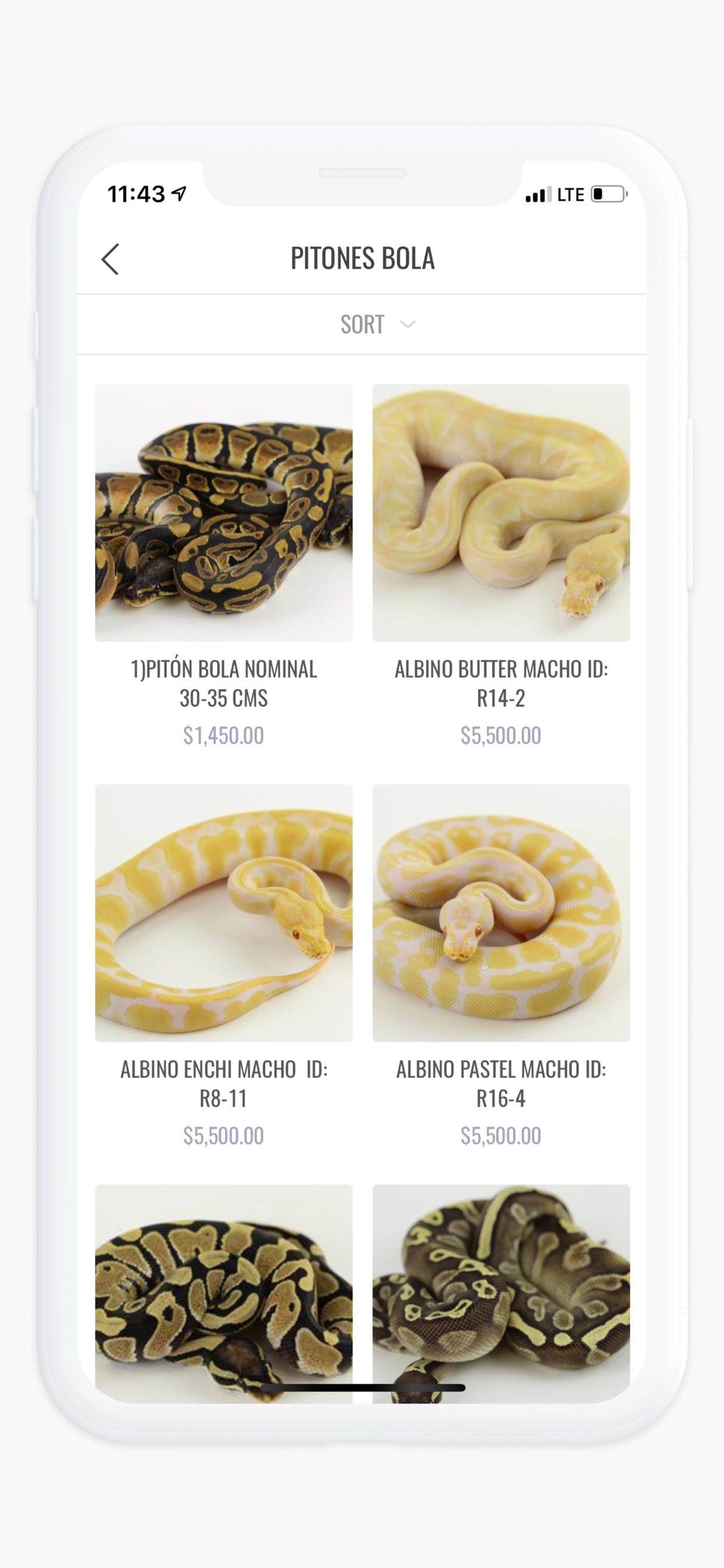REPTILE TRADE