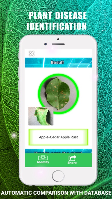 植物の病気の識別 screenshot1