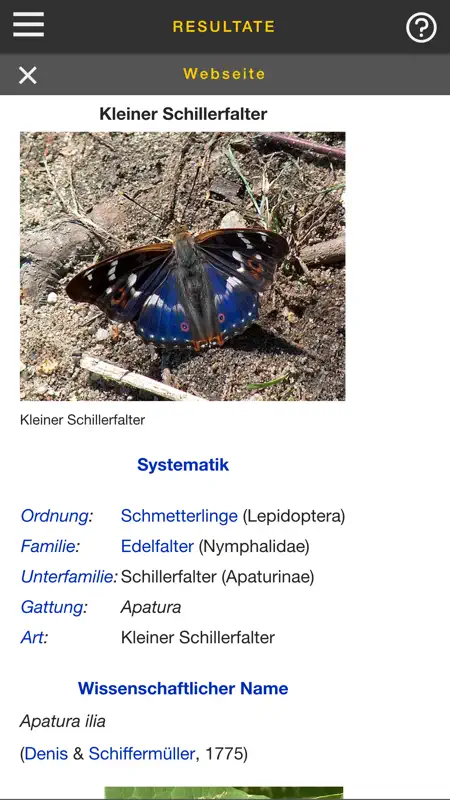 sCHmetterling screenshot 4 of 5
