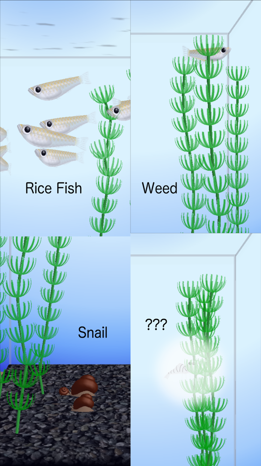 #4. Rice Fish (iOS) 由: KENSHI DOI