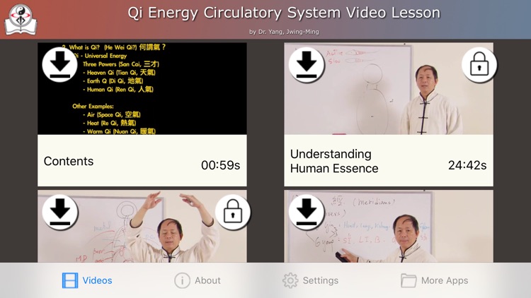 Qi Energy Video Lesson