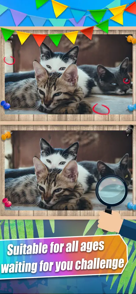 Differences-find 5 differences