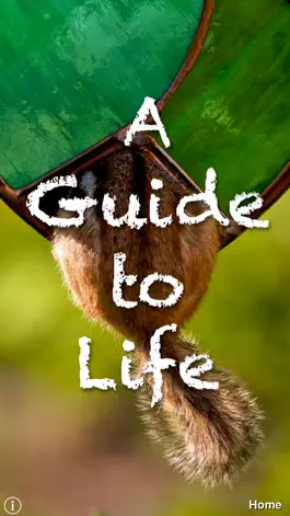 Game screenshot A Guide To Life mod apk
