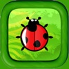 Ladybug Run Color Platform