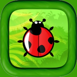 Ladybug Run Color Platform