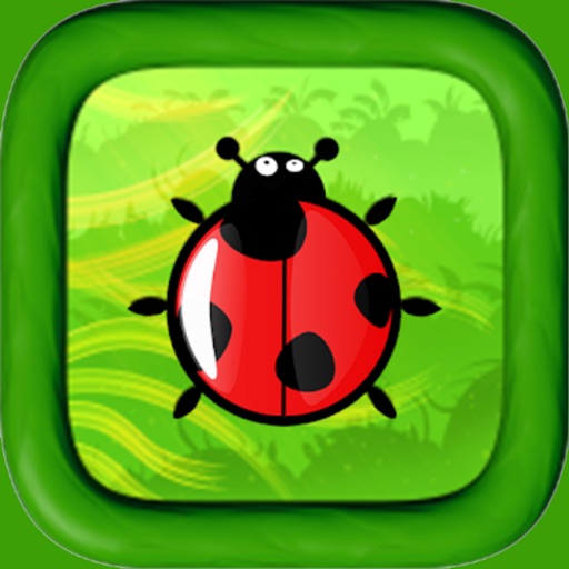 Ladybug Run Color Platform