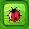 Ladybug or lady bird run is a unique arcade fast runner game where your ladybug colors run through color platforms