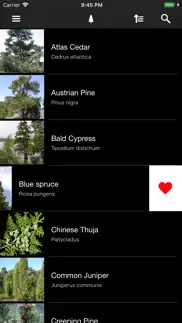 conifers iphone screenshot 2