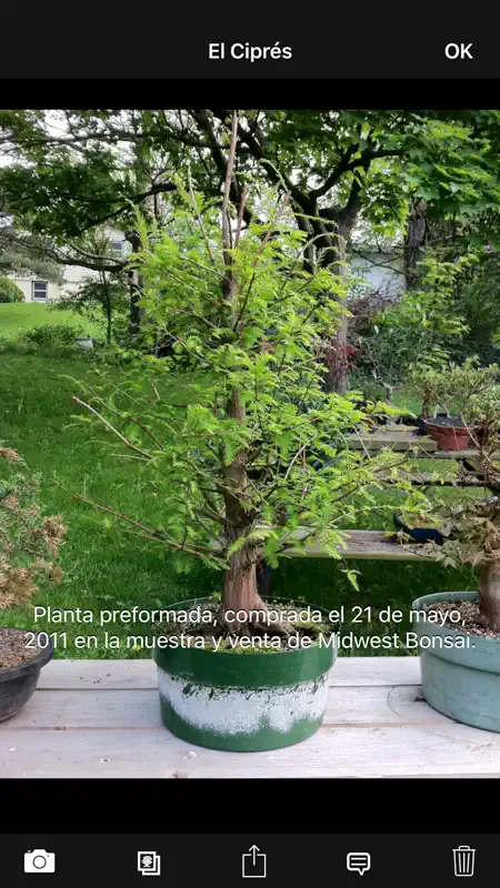 Bonsai Album screenshot 3 of 5