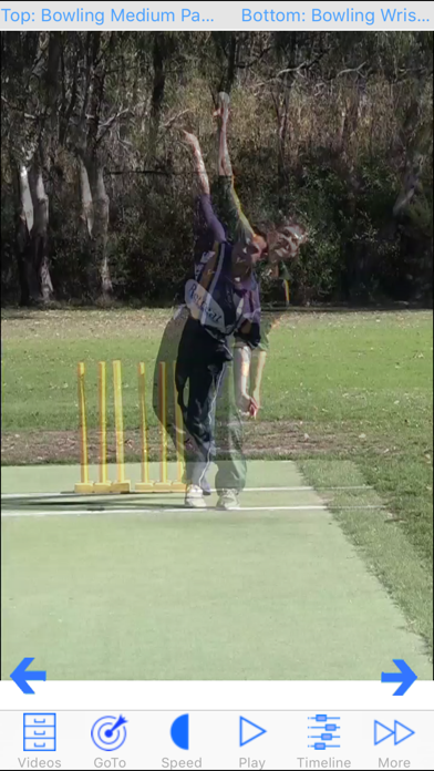 Cricket Coach Plus HD Screenshot